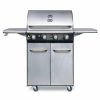 Bluegaz Z1 Gasolgrill